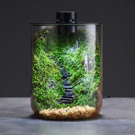 Mini Forest Maker Terrarium Decor Vase