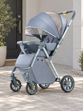 Meadow Ride Reversible Folding Baby Stroller