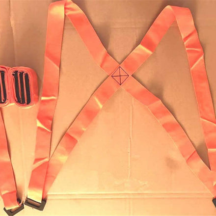 Furniture Moving Strap